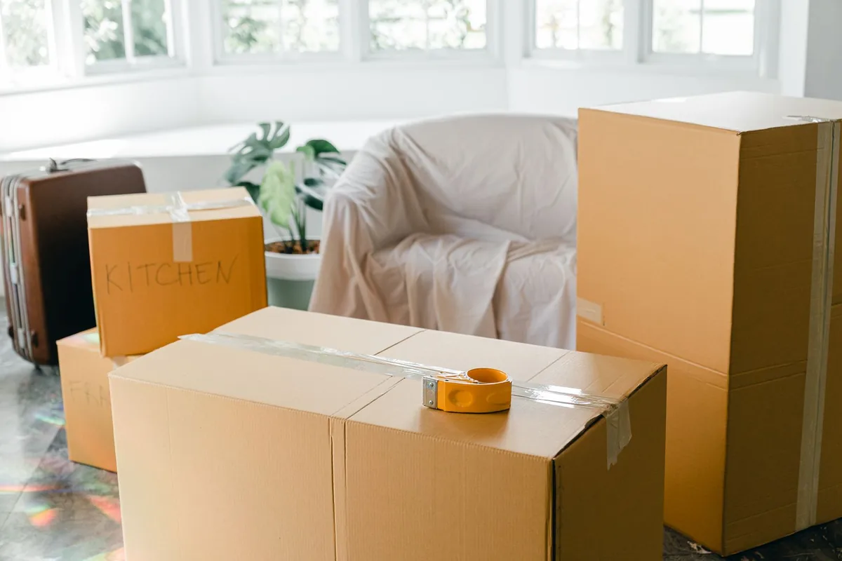Hoarding Cleanup in Stepping Stone, CO